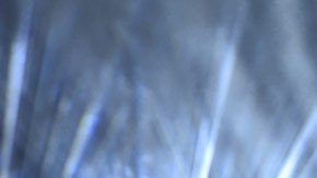 Las autoridades consideran que Beyoncé promocionó en el Super Bowl al movimiento radical Panteras Negras.