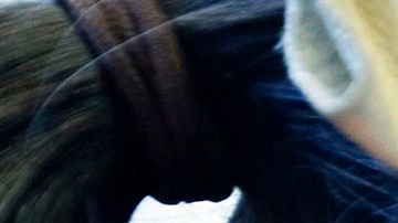 La estrategia de la escuela primaria Río Vista es precisamente que sus 22 profesores se encarguen de la enseñanza de los 440 alumnos, casi todos hispanos.