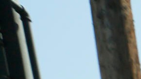 Dov Charney, ex presidente y fundador de American Apparel, saluda a trabajadores.