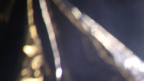 Alfredo Ríos canceló por presuntas amenazas.