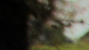 Guatemaltecos piden la renuncia de Otto Pérez Molina y Roxana Baldetti, por el caso de corrupción que implicó a varios funcionarios de gobierno.