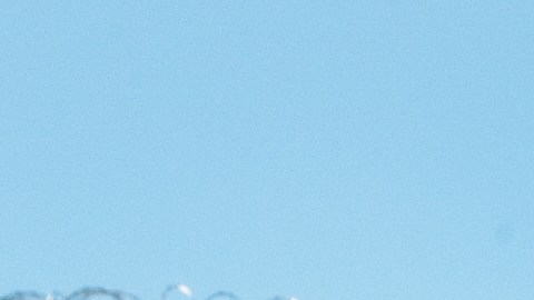 Arpaio es acusado de perseguir políticamente a uno de sus investigados