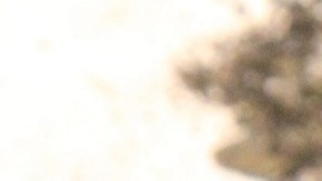 La segunda caja negra confirma la acción deliberada del copiloto.