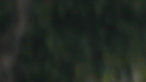 Protestas antigubernamentales en Ciudad de Guatemala