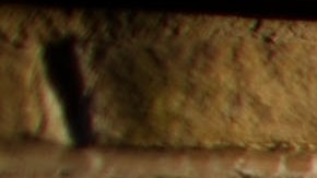 Víctimas de tráfico humano.