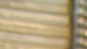 Emilia Castañeda, de 89 años de edad sostiene el libro “Década de la traición”, que habla de la repatriación de mexicanos en la década de 1930.