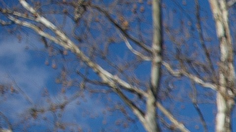 El gobernador de Indiana se comprometió a esclarecer que la nueva ley no es para discriminar a los gays.