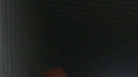 BOLIVIA COMPRA LECHE A UNA EMPRESA PRIVADA PARA EXPORTARLA A VENEZUELA