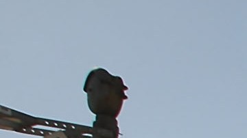 Volverán a marchar en Main Beach