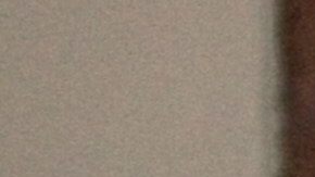 El comandante de las FARC-EP Pastor Alape en La Habana