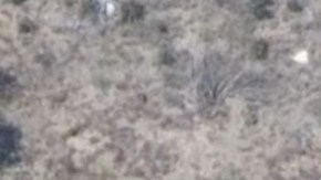 Imagen tomada del video  de NBC4 de la golpiza a un hombre por al menos cinco agentes en San Bernardino.