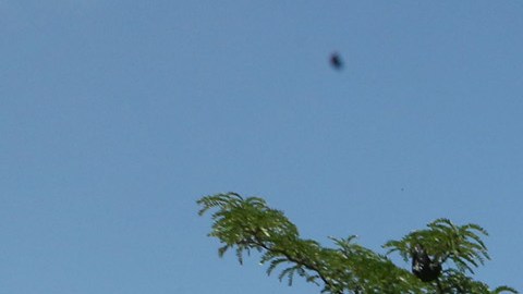 05-30-2015_004_MarchaOscarLopez