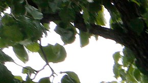 050815_5_City of Industry