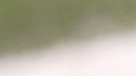 El caso de los balones desinflados sigue causando controversia.