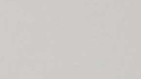 Jorge Vergara y Angélica Fuentes. Los días felices.