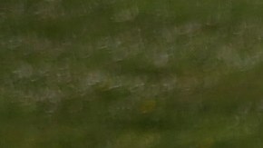 California experimenta severas restricciones de agua a causa de la prolongada sequía.