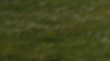 California experimenta severas restricciones de agua a causa de la prolongada sequía.