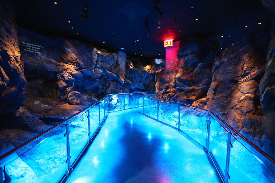 La entrada en la planta baja simula una cueva de la roca que forma la isla de Manhattan.