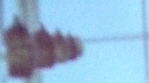 Blanca Melchor (izq.) y OlinTonatiuh en una escena de 'An L.A. Journey'.