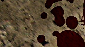 Arma de fuego, sangre