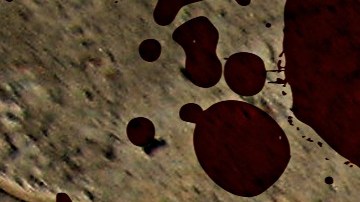 Arma de fuego, sangre