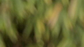 GUATEMALA Y BELICE FLEXIBILIZAN ACUERDO PARA SOLUCIONAR LITIGIO TERRITORIAL