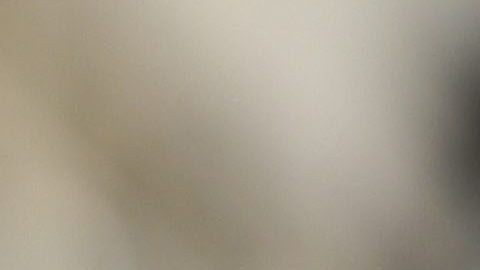 MARCHA EN SOLIDARIDAD CON LOS INMIGRANTES Y LOS REFUGIADOS