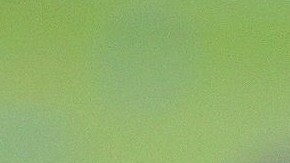 Leo Messi, con su hijo  mayor Thiago, durante la celebración de la conquista del título de Liga. /EFE