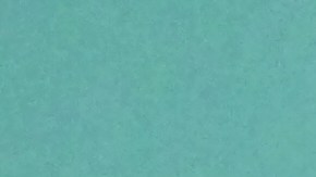 Francisco Herrera aspira a ser alcalde de San Francisco, en la elección de noviembre de 2015.