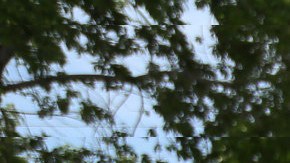 La colorida y famosa carrera Bubble Run será el sábado 13 de junio en Santa Clara.