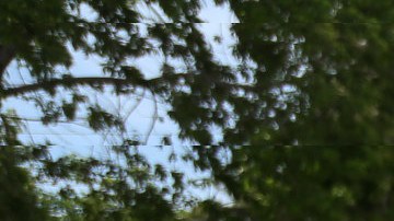 La colorida y famosa carrera Bubble Run será el sábado 13 de junio en Santa Clara.