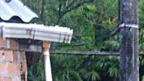 ASCIENDE A 33 LA CIFRA DE MUERTOS POR AVALANCHA EN NORESTE DE COLOMBIA