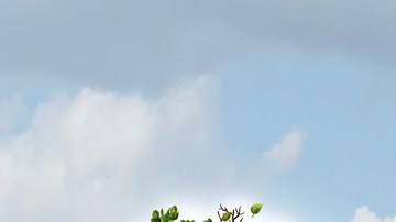 inversiones inteligentes