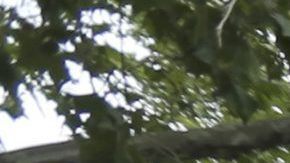 Flooding in Texas and Oklahoma