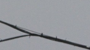 Concesionario de Honda./Archivo