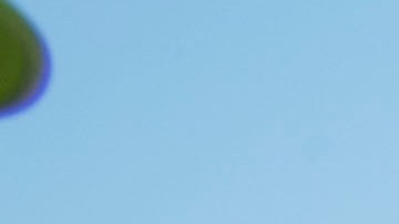 Los trabajadores en estos proyectos están recibiendo servicios de salud, contribuciones a su pensión y pago para un entrenamiento amplio, lo que conduce a una estabilidad de carrera.