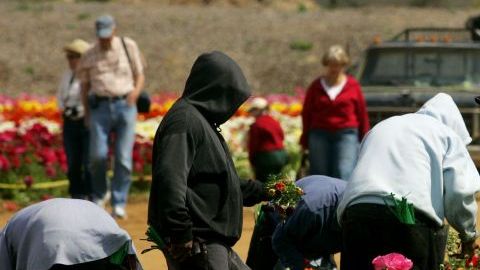 campesinos_655x438