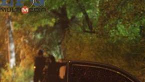 Los autos robados suelen ser desmantelados y vendidos en partes en el extranjero.