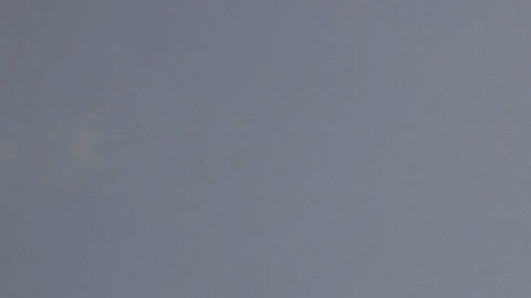 More than 100 Haitian Migrants Land On Florida Beach