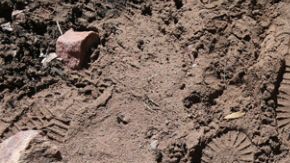 desierto-en-la-frontera_655x438