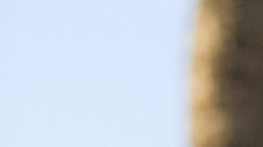 Ya seas padre o hijo hay infinidad de eventos este fin de semana en Nueva York para disfrutar juntos.