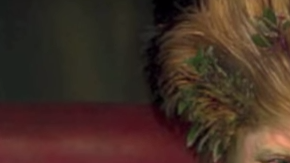 Esta es una de las imágenes del tema dedicado a Donald Trump.