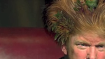Esta es una de las imágenes del tema dedicado a Donald Trump.