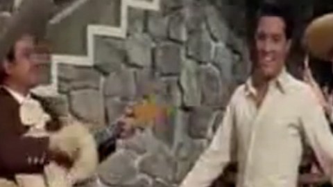 elvis