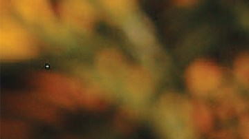 Fiesta Pork Enchiladas (1)