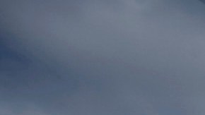 COP 16 - 2010 United Nations Climate Change Conference