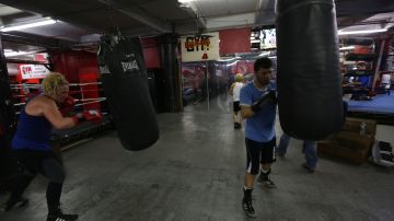 Nica Boxing y Búfalo Boxing serán las promotoras encargadas de las funciones de boxeo en Nicaragua.