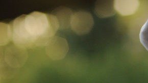 Juan Felipe Herrera fue nombrado Poeta Laureado por la Biblioteca del Congreso esta semana, el primer autor latino y chicano en lograr tal honor.