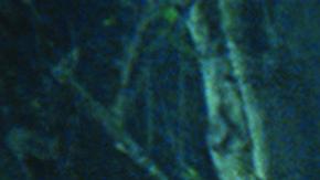 'Jurassic World' fue la quinta película más taquillera de la historia en el país.