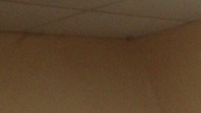 Jurgen Damm se incorporó ayer a Tigres al pasar sin problemas sus exámenes físicos.